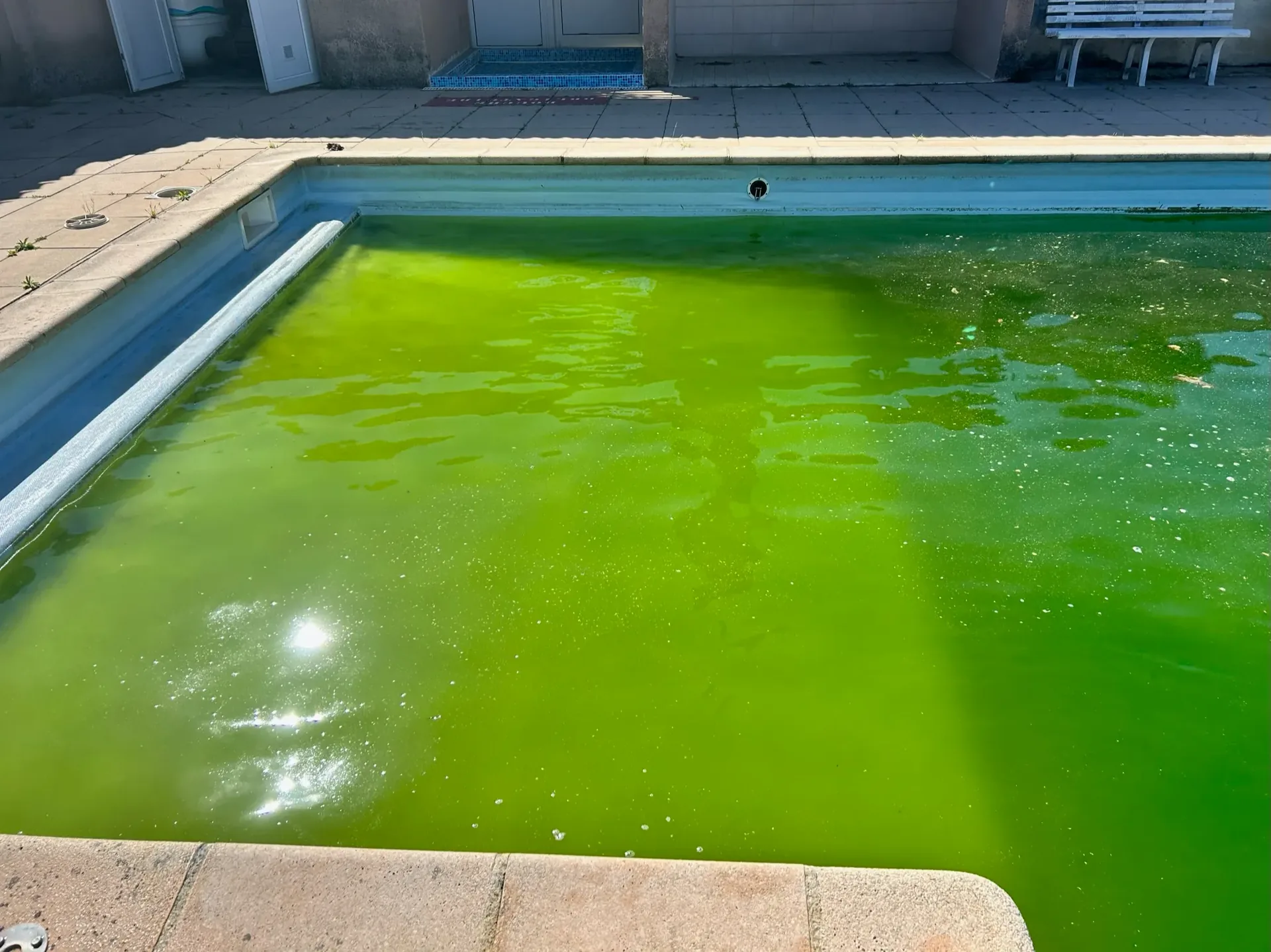 Plan large de la piscine restaurée à son état d'origine — STAFF Piscines
